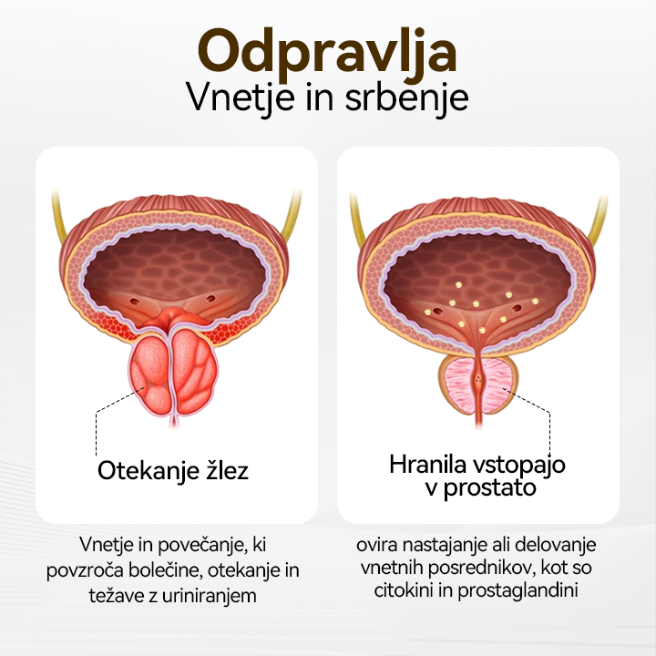 🔱🔆CZTICLE™ ProstaVibe Inhalator za zdravje čebel