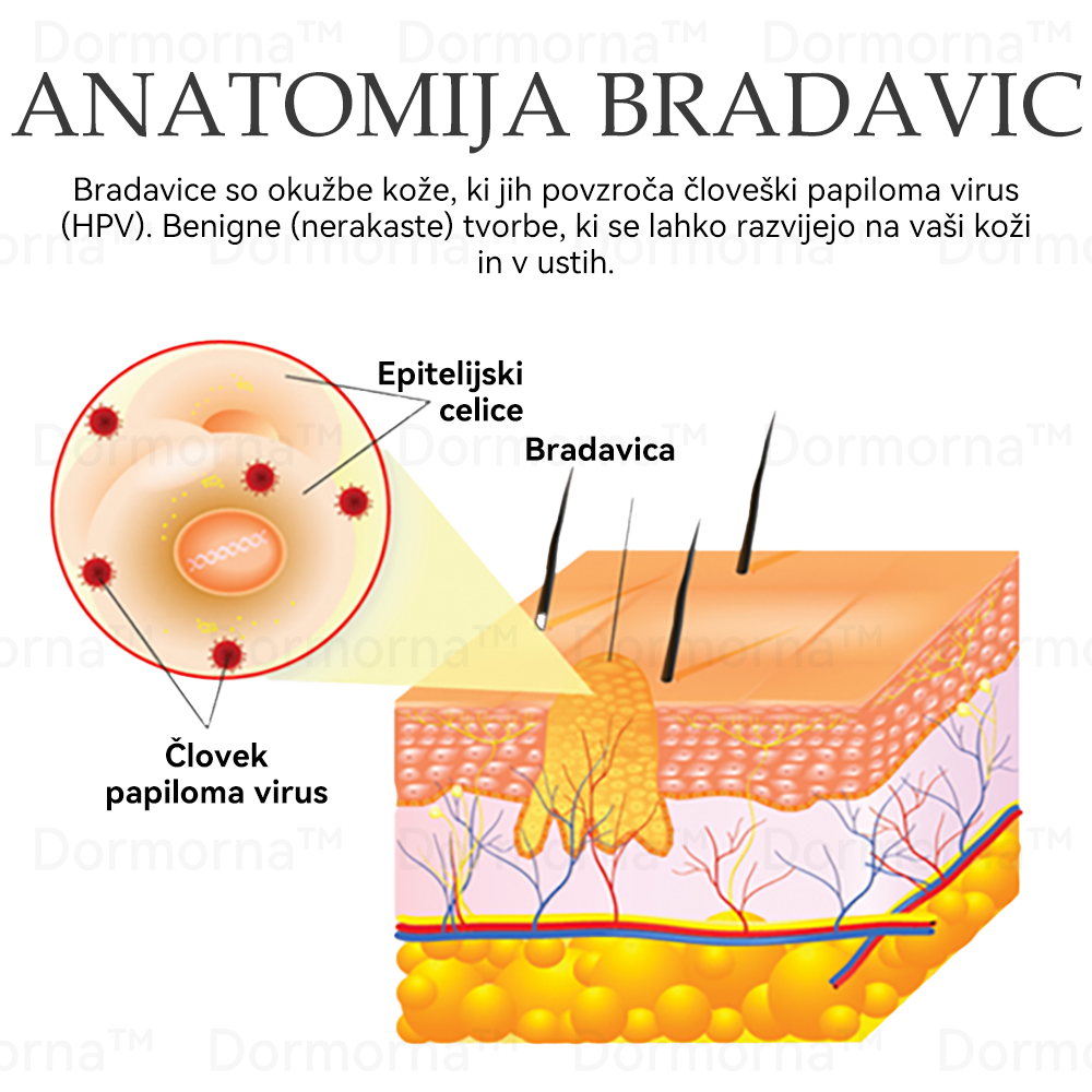 ✅Uradna trgovina:𝐷𝑜𝑟𝑚𝑜𝑟𝑛𝑎™💎Č𝑒𝑏𝑒𝑙𝑗𝑖 𝑆𝑡𝑟𝑢𝑝 𝑃𝑜𝑝𝑜𝑙𝑛𝑎 𝑃𝑜𝑝𝑟𝑎𝑣𝑖𝑙𝑜 𝑍𝑑𝑟𝑎𝑣𝑙𝑗𝑒𝑛𝑗𝑒 𝑆𝑚𝑒𝑡𝑎𝑛𝑎 (👩‍⚕️👩‍⚕️𝐒𝐃𝐕𝐃 𝐩𝐫𝐢𝐩𝐨𝐫𝐨č𝐞𝐧𝐨)-𝑂𝑑𝑠𝑡𝑟𝑎𝑛𝑖𝑡𝑒 𝑚𝑎𝑑𝑒ž𝑒, 𝑏𝑟𝑎𝑑𝑎𝑣𝑖𝑐𝑒, ℎ𝑖𝑝𝑒𝑟𝑝𝑖𝑔𝑚𝑒𝑛𝑡𝑎𝑐𝑖𝑗𝑜, 𝑠𝑡𝑎𝑟𝑜𝑠𝑡𝑛𝑒 𝑝𝑒𝑔𝑒, 𝑎𝑘𝑛𝑒, 𝑏𝑟𝑎𝑧𝑔𝑜𝑡𝑖𝑛𝑒 🥇🥇🥇