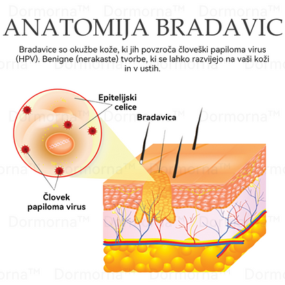 ✅Uradna trgovina:𝐷𝑜𝑟𝑚𝑜𝑟𝑛𝑎™💎Č𝑒𝑏𝑒𝑙𝑗𝑖 𝑆𝑡𝑟𝑢𝑝 𝑃𝑜𝑝𝑜𝑙𝑛𝑎 𝑃𝑜𝑝𝑟𝑎𝑣𝑖𝑙𝑜 𝑍𝑑𝑟𝑎𝑣𝑙𝑗𝑒𝑛𝑗𝑒 𝑆𝑚𝑒𝑡𝑎𝑛𝑎 (👩‍⚕️👩‍⚕️𝐒𝐃𝐕𝐃 𝐩𝐫𝐢𝐩𝐨𝐫𝐨č𝐞𝐧𝐨)-𝑂𝑑𝑠𝑡𝑟𝑎𝑛𝑖𝑡𝑒 𝑚𝑎𝑑𝑒ž𝑒, 𝑏𝑟𝑎𝑑𝑎𝑣𝑖𝑐𝑒, ℎ𝑖𝑝𝑒𝑟𝑝𝑖𝑔𝑚𝑒𝑛𝑡𝑎𝑐𝑖𝑗𝑜, 𝑠𝑡𝑎𝑟𝑜𝑠𝑡𝑛𝑒 𝑝𝑒𝑔𝑒, 𝑎𝑘𝑛𝑒, 𝑏𝑟𝑎𝑧𝑔𝑜𝑡𝑖𝑛𝑒 🥇🥇🥇
